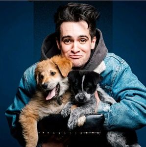 Meet your Posher, Kaylee